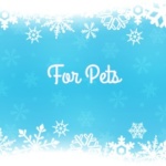 gifts for pets - 2016