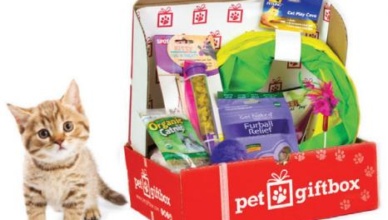 Pet Gift Box