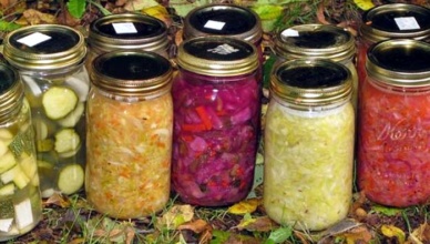 Tips For Successful fermentation