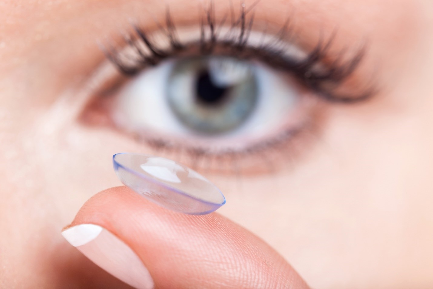 Daily Contact Lenses
